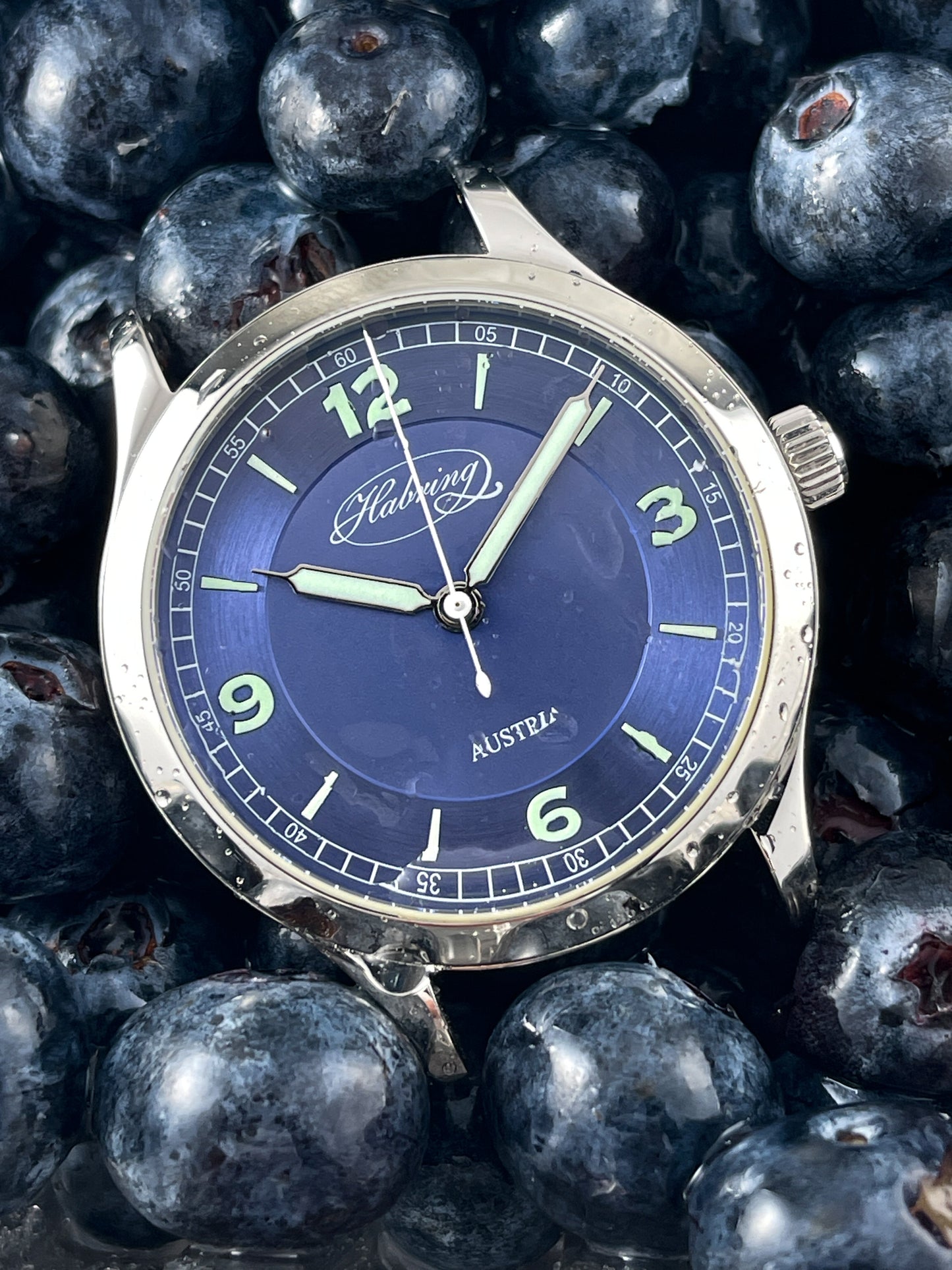 Habring² x HBTS Grand Erwin Special Edition (Pre-Order)