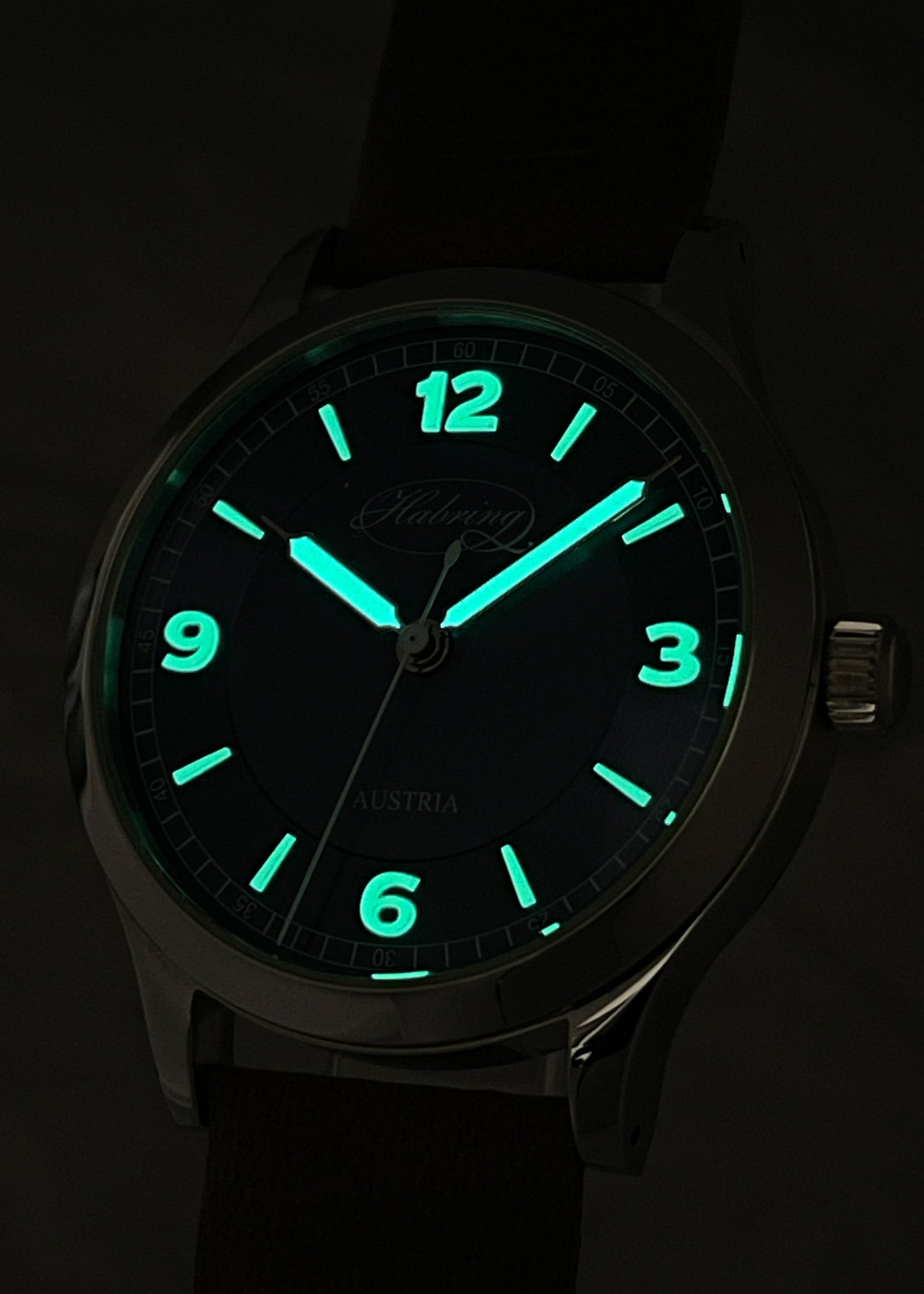 Habring² x Horology By The Sea Grand Erwin Special Edition - Serial #9/15