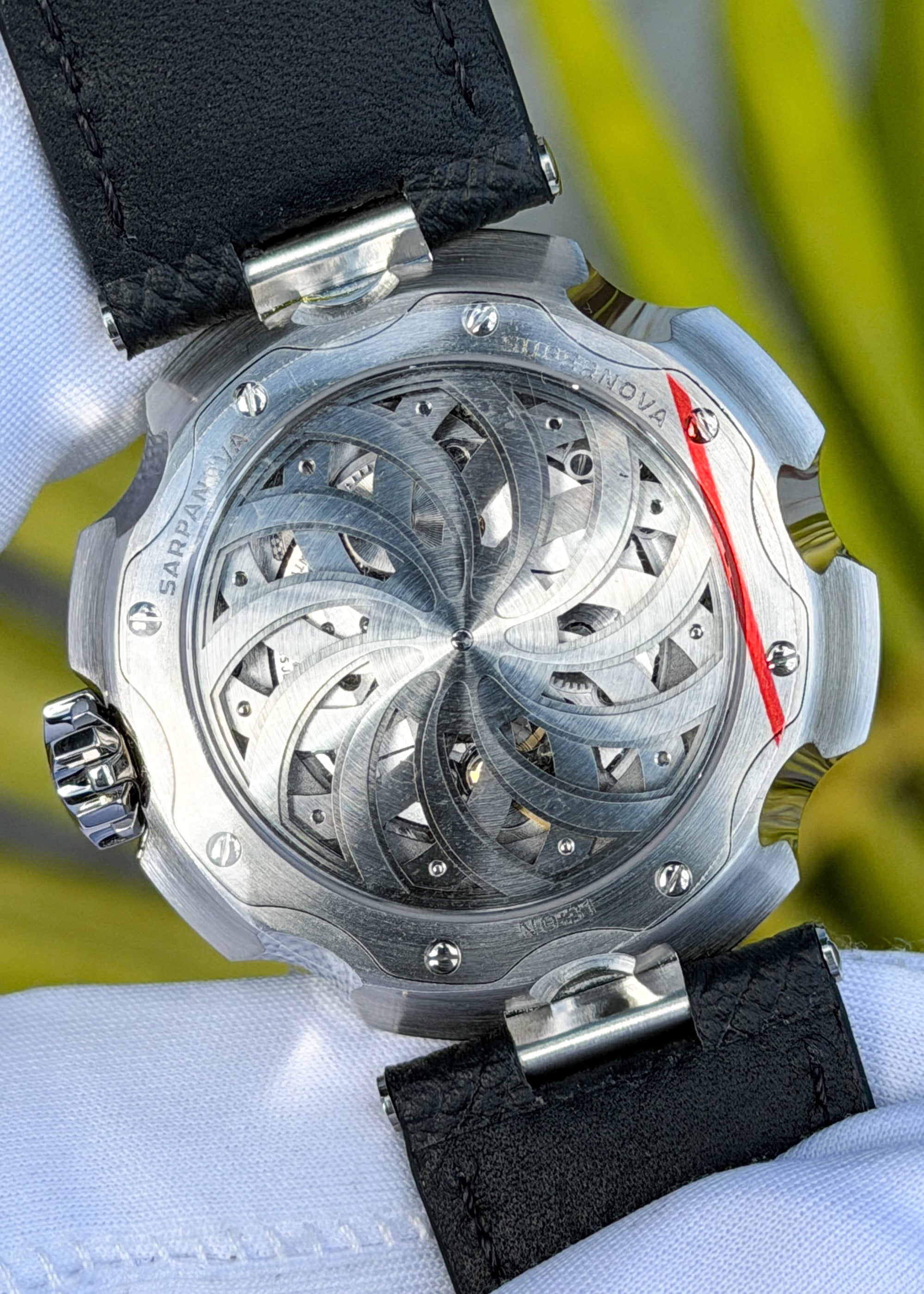 SARPANEVA 