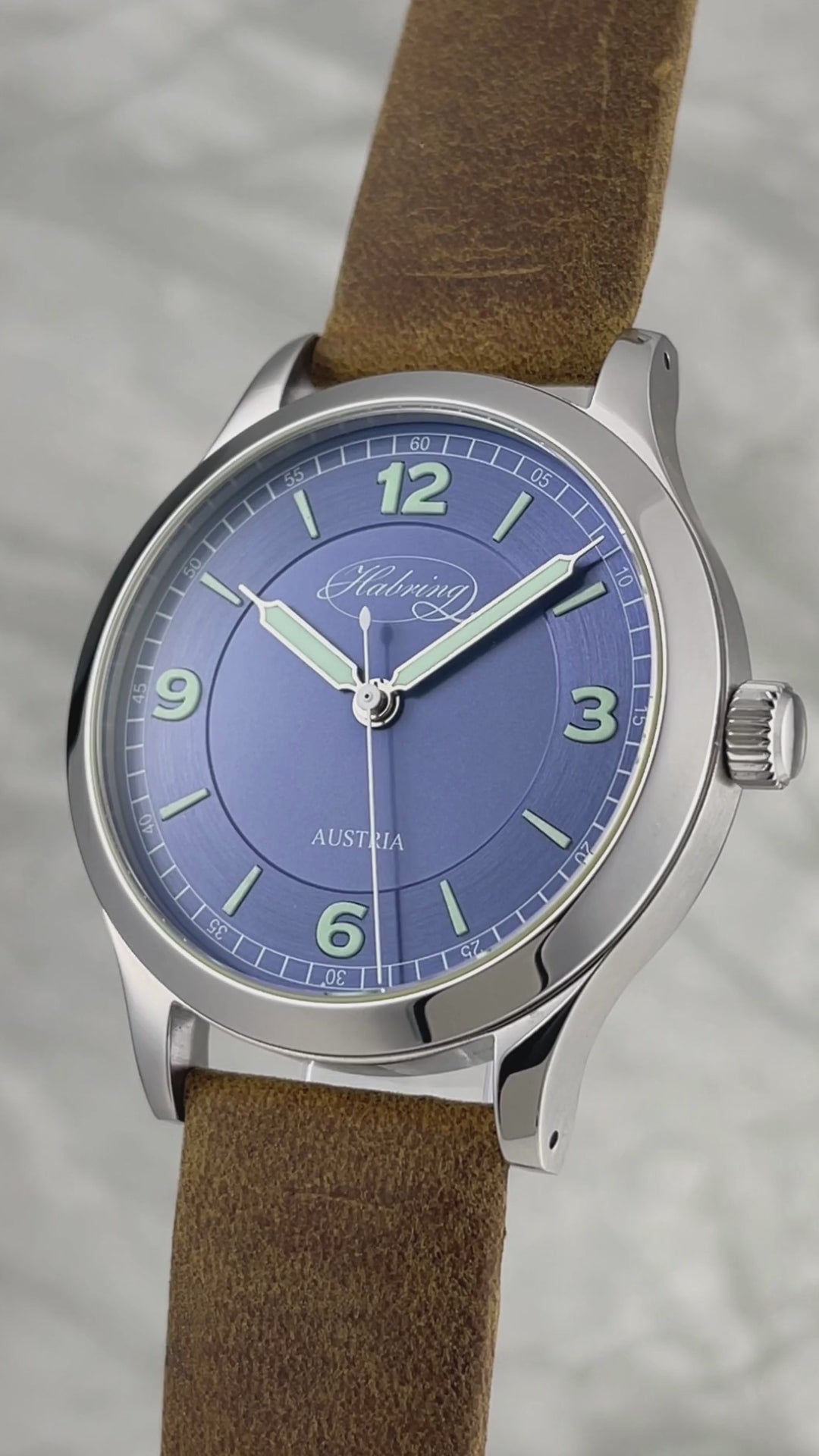 Habring² x HBTS Grand Erwin Special Edition (Pre-Order) – Horology