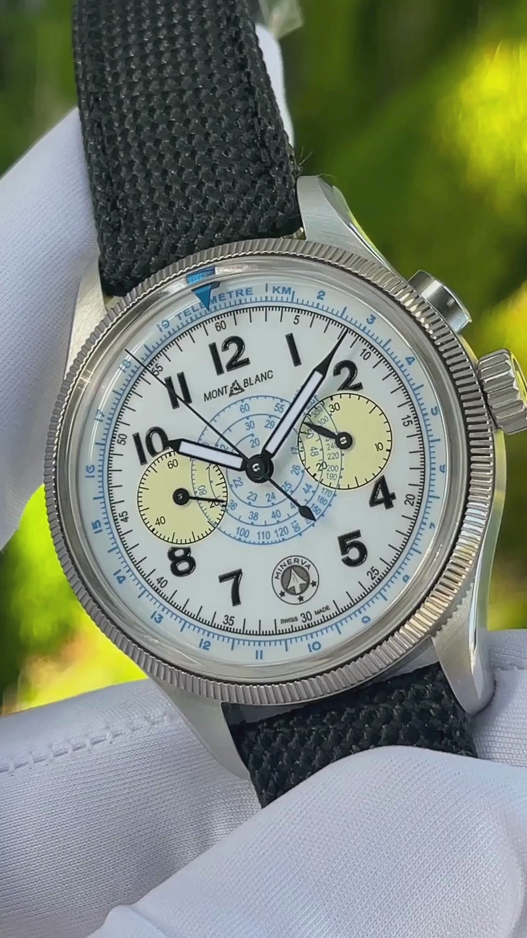 マレウスプラチナ28点 Montblanc 